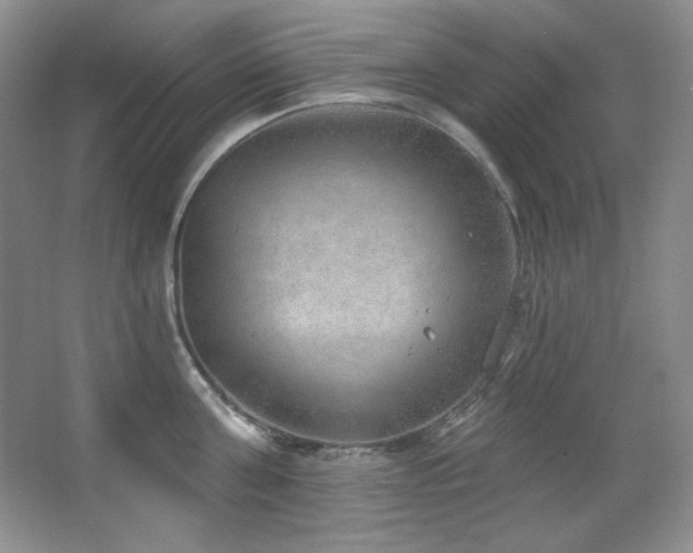 X0000067900811200604131353