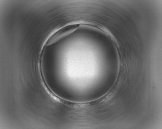 X0000067900813200604131353