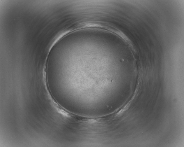 X0000067900814200604131353