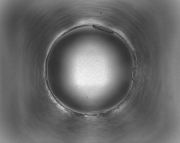 X0000067900815200604131353