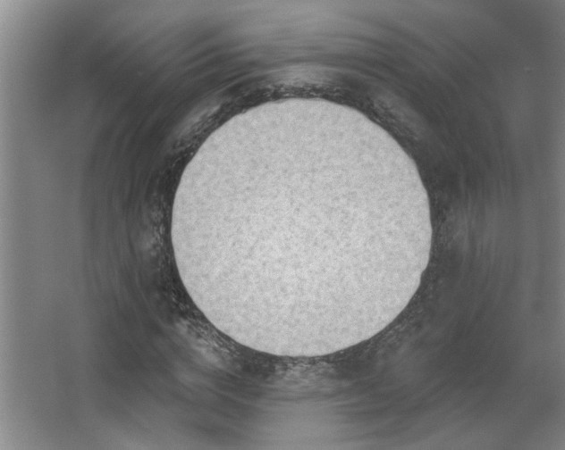 X0000067900824200604131352