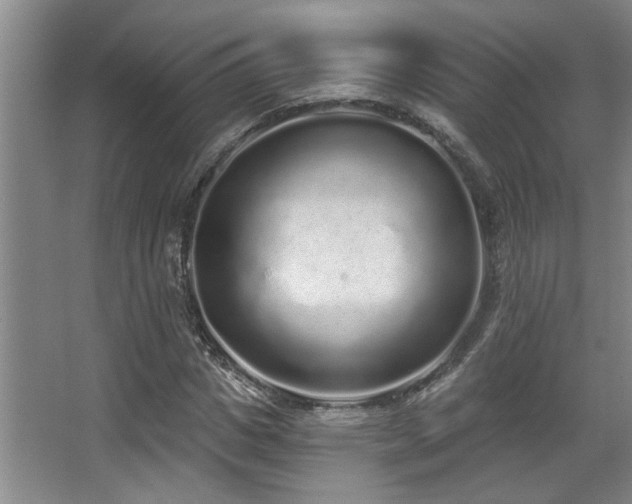 X0000067900825200604131352