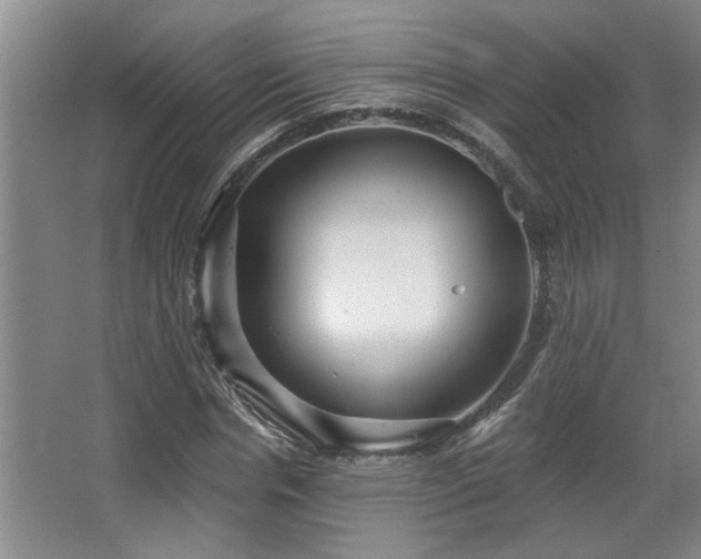 X0000067900826200604131352