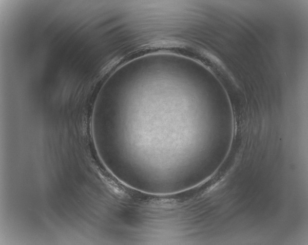 X0000067900833200604131352