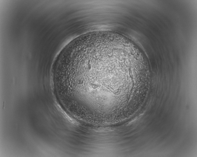 X0000067900835200604131352