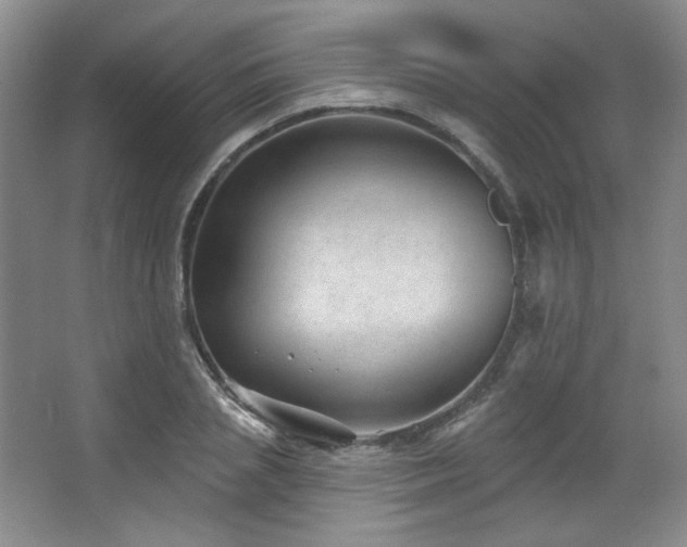 X0000067900837200604131352