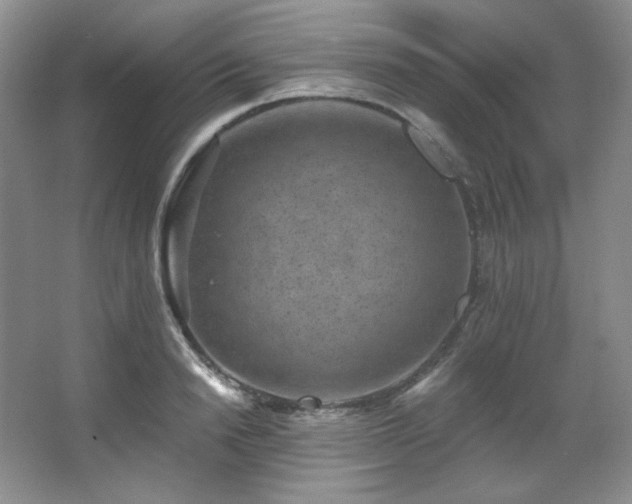 X0000067900846200604131352