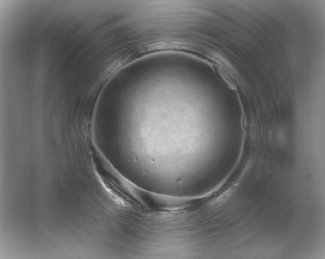 X0000067900849200604131352