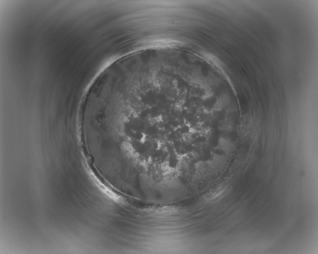 X0000067900851200604131352