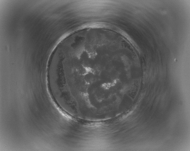 X0000067900853200604131352