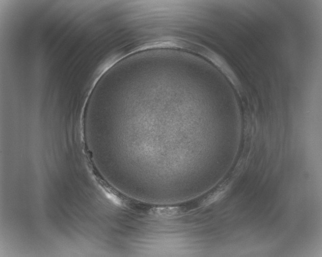 X0000067900858200604131352