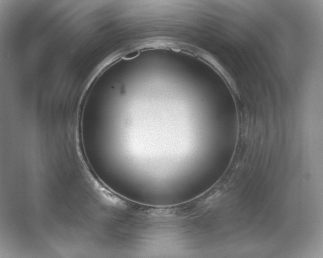 X0000067900861200604131352