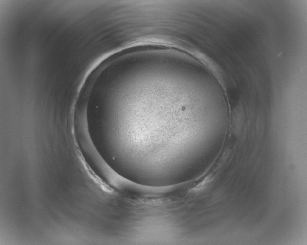 X0000067900862200604131352