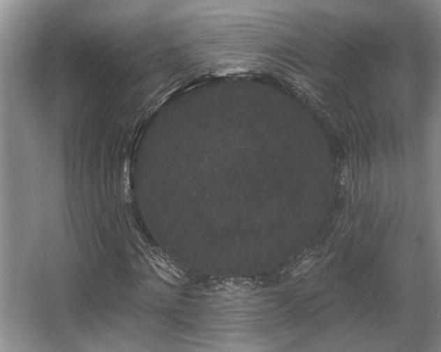 X0000067900868200604131352