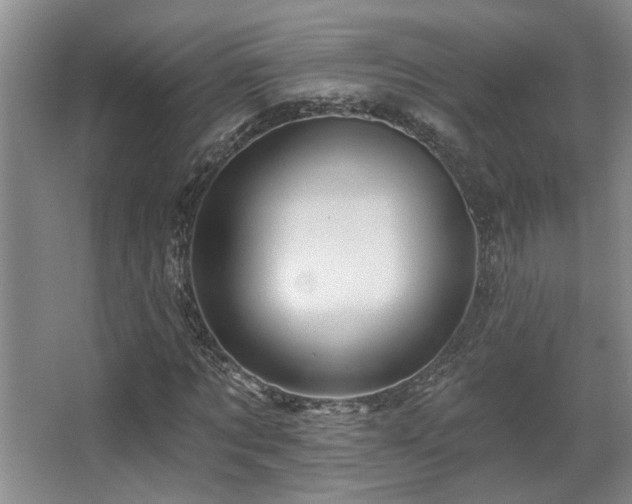 X0000067900869200604131352