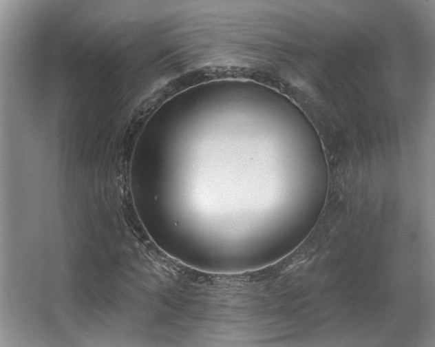 X0000067900870200604131352