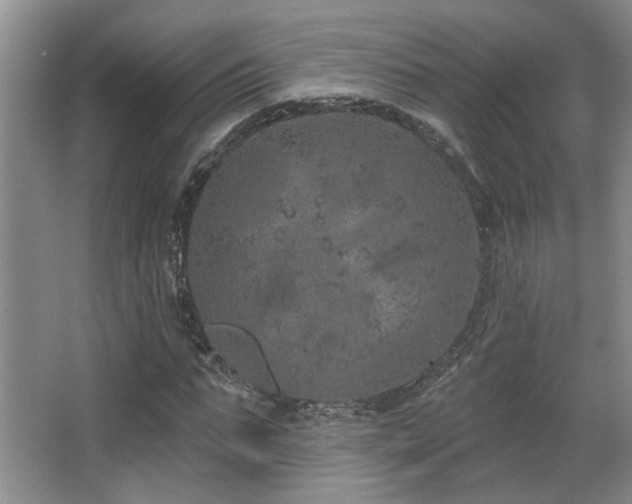 X0000067900871200604131352