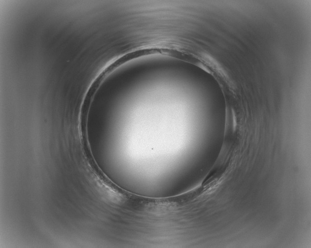 X0000067900884200604131351