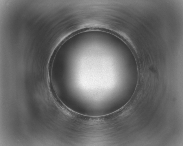 X0000067900887200604131351