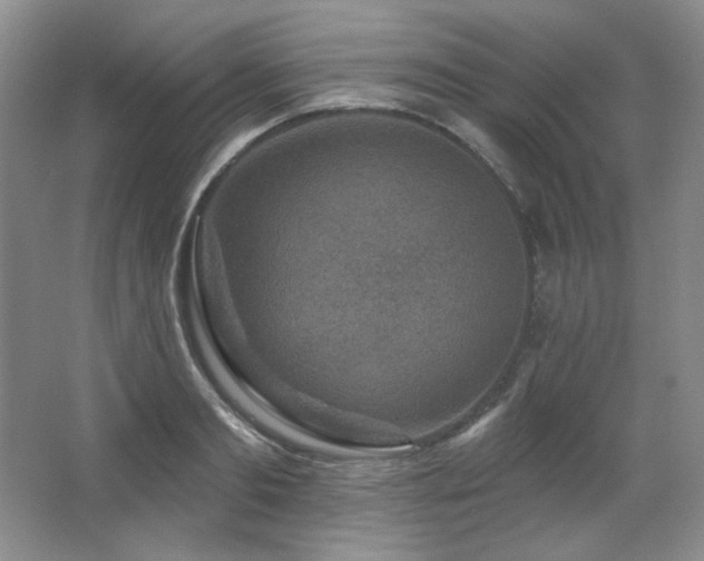 X0000067900893200604131351