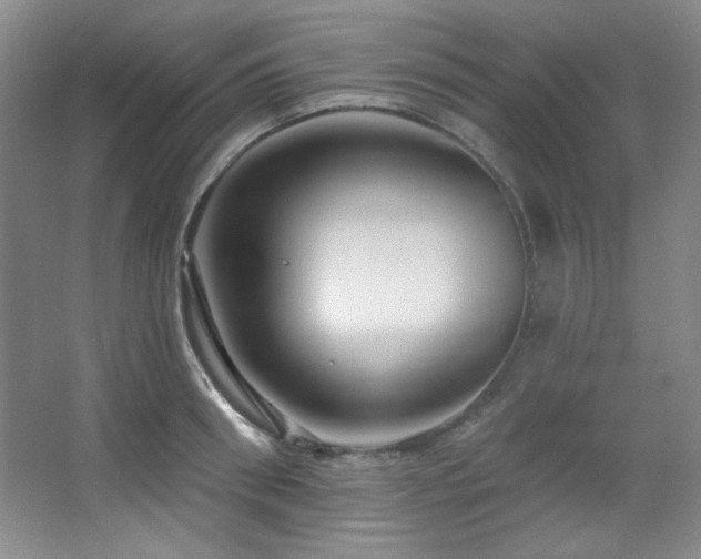 X0000067900898200604131351