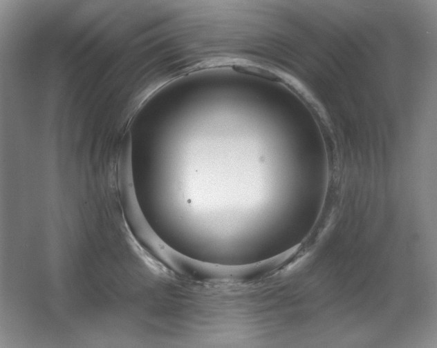 X0000067900905200604131351