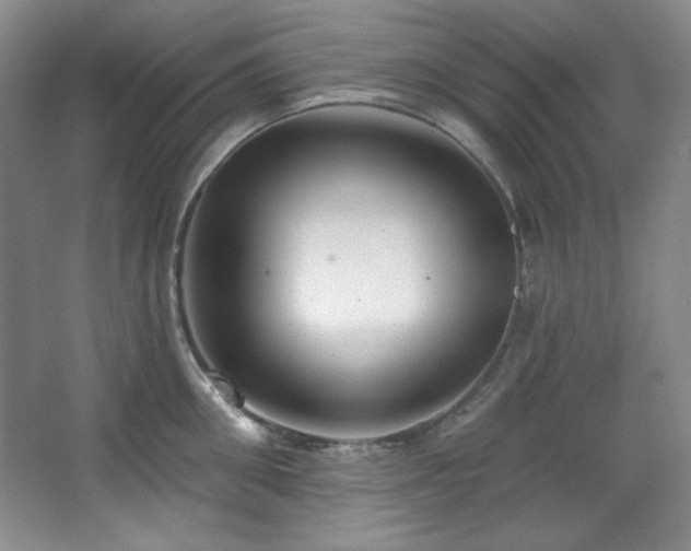 X0000067900906200604131351