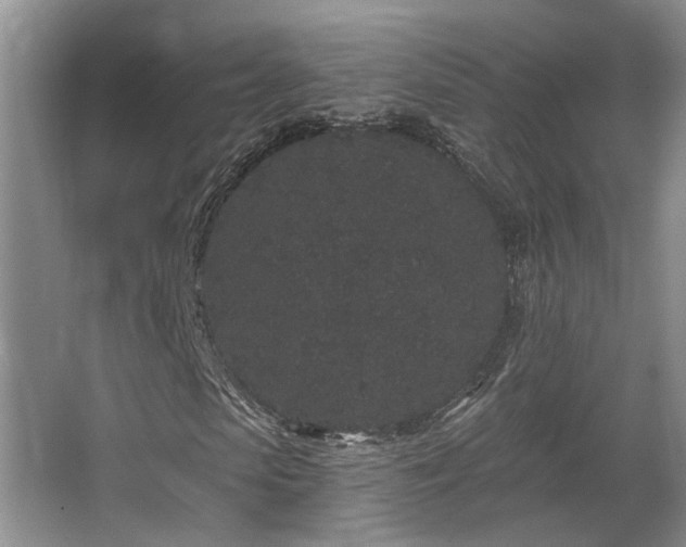 X0000067900913200604131350