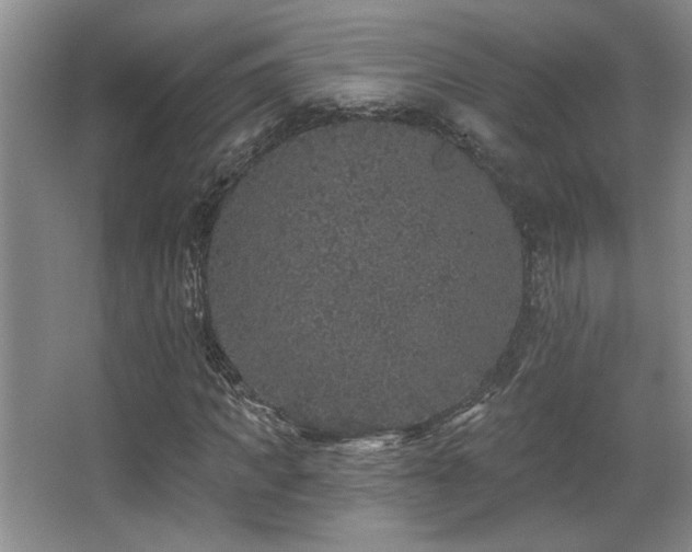 X0000067900917200604131350