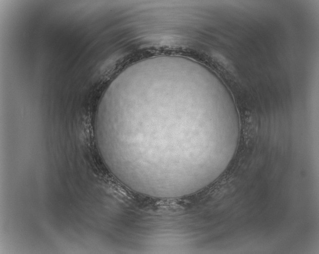 X0000067900918200604131350