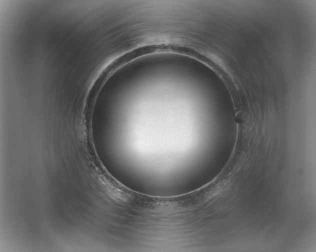 X0000067900927200604131350
