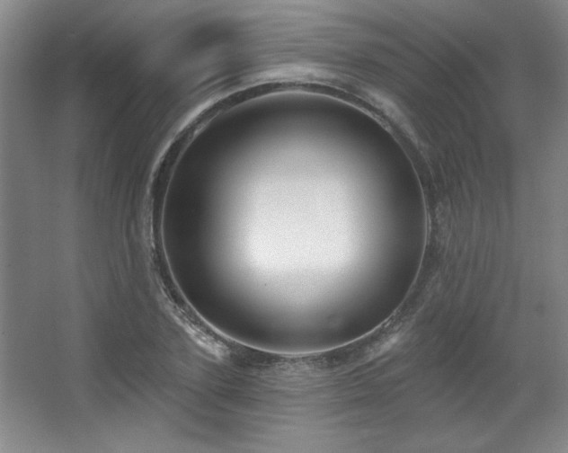 X0000067900931200604131350