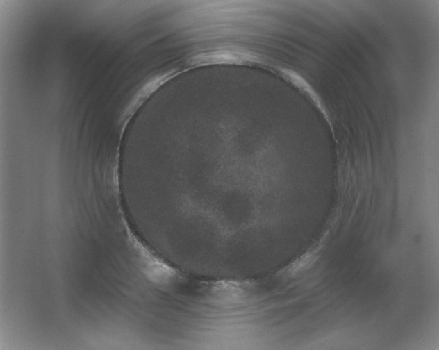 X0000067900938200604131350
