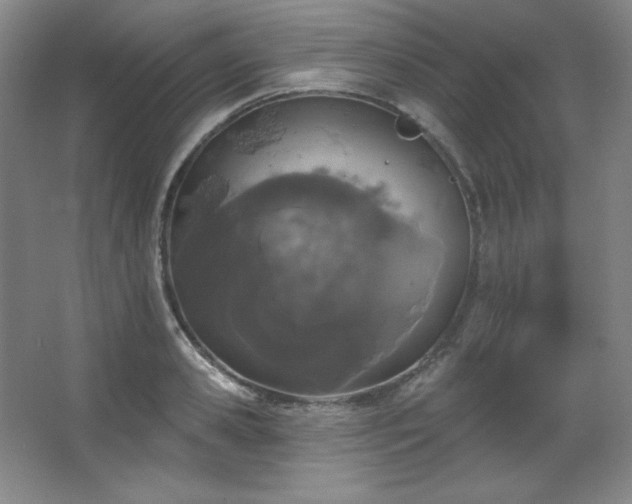 X0000067900941200604131351