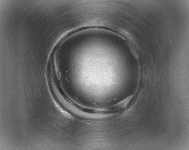 X0000067900942200604131351