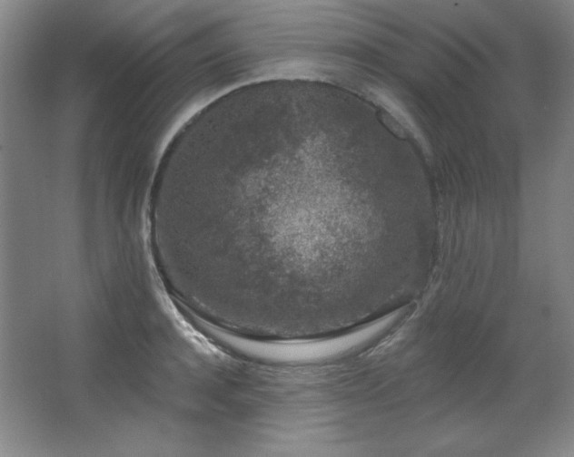 X0000067900944200604131351
