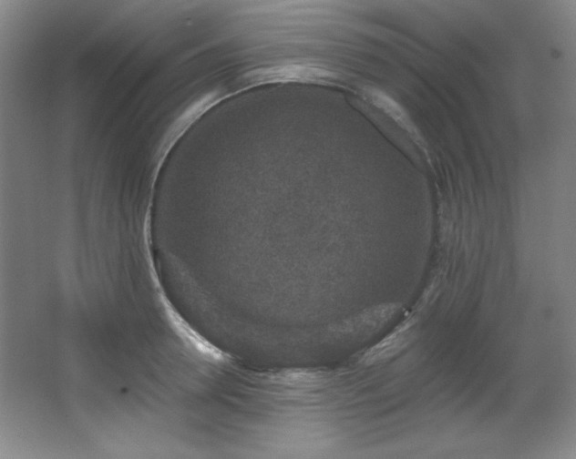 X0000067900946200604131351