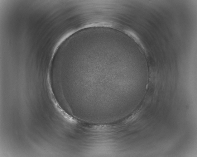 X0000067900952200604131351