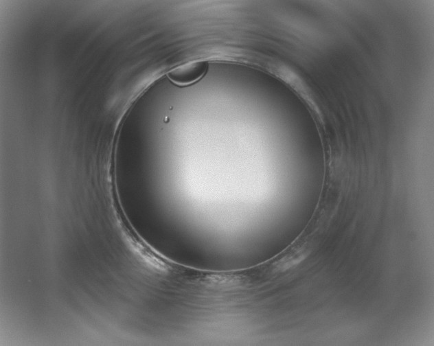X0000067900954200604131351