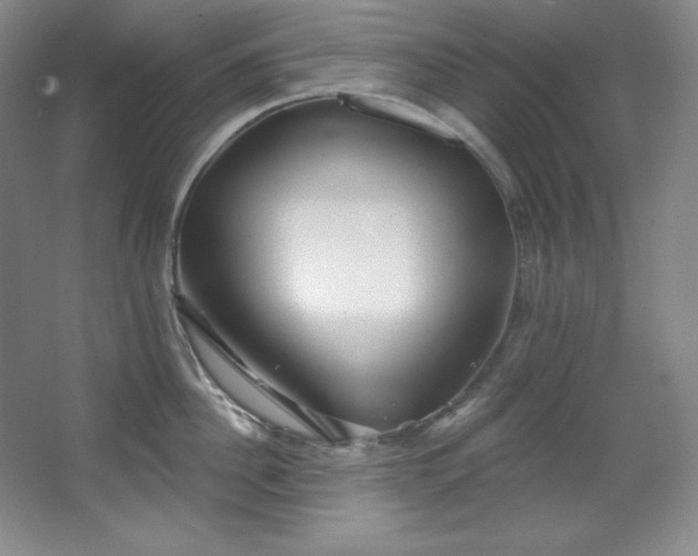 X0000067900956200604131351