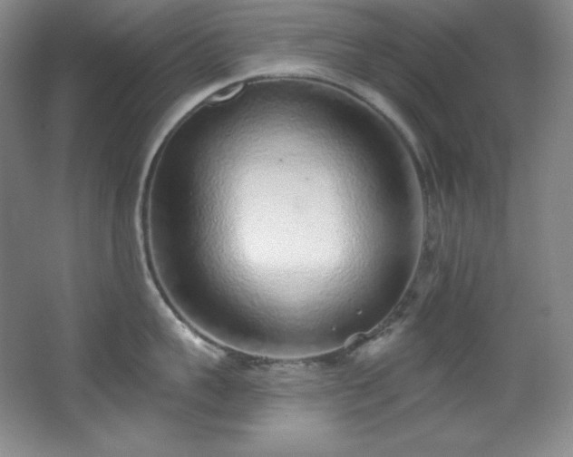 X0000067900959200604131351