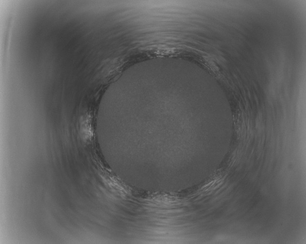 X0000067900962200604131350