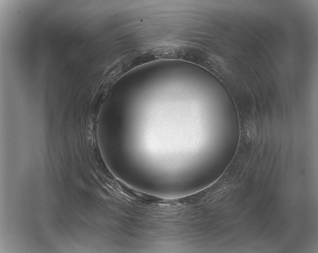 X0000067900964200604131350