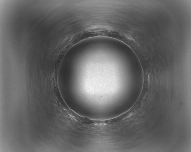 X0000067900965200604131350