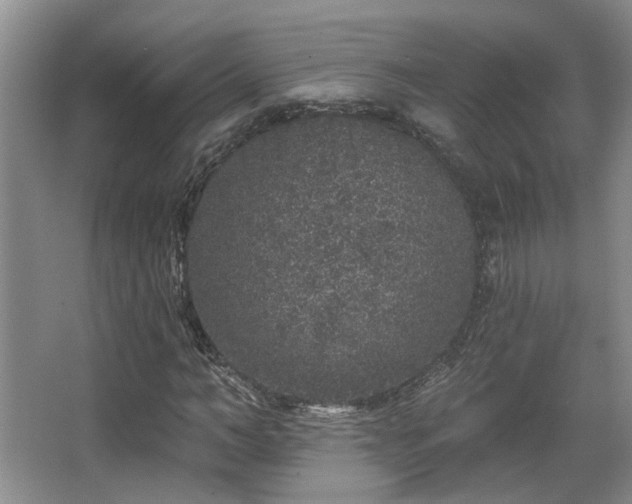X0000067900966200604131350