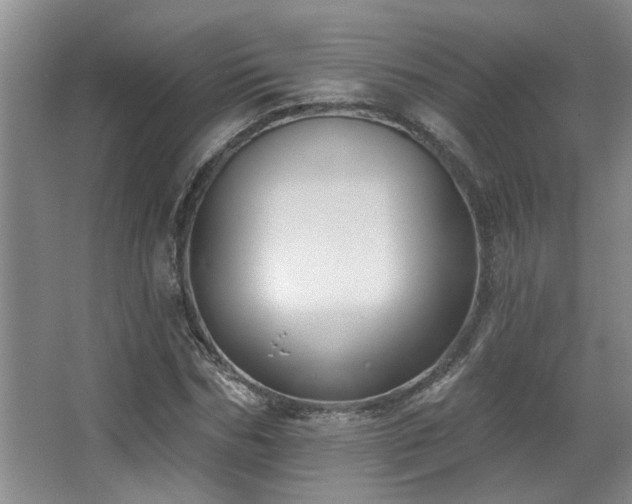 X0000067900970200604131350