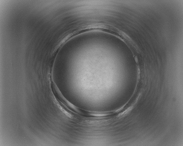 X0000067900985200604131350