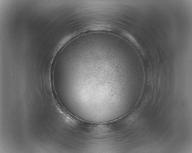 X0000067900986200604131350