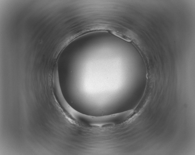 X0000067900993200604131349