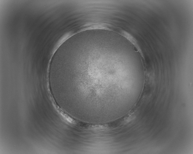 X0000067901002200604131349
